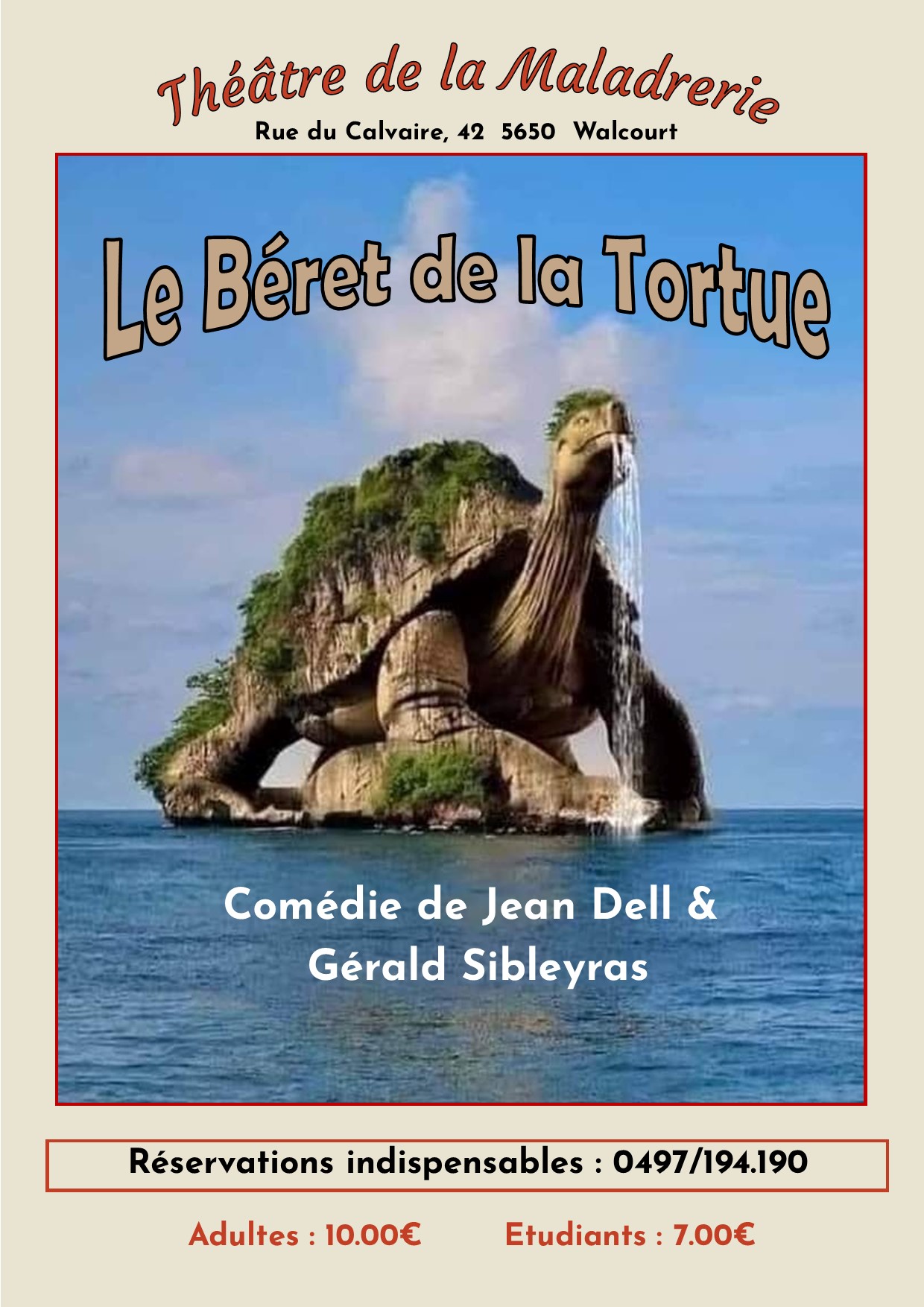 Béret tortue affiche site